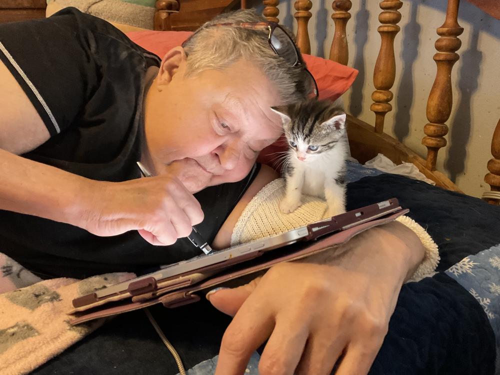 Working on the iPad with one of the foster kittens